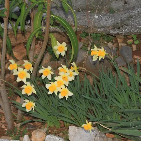 Family Friendly Seaside Slatine, Ciovo - 7584 *