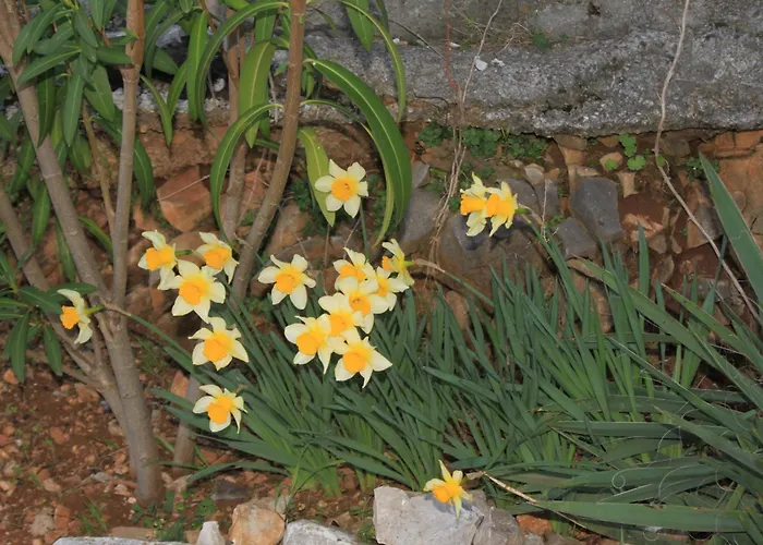 Family Friendly Seaside Slatine, Ciovo - 7584 *